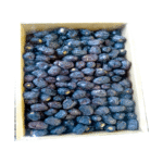 Ajwaya Dates