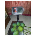 Khirshapat (ক্ষীরশাপাতি) Mango 40Kg - Image 4